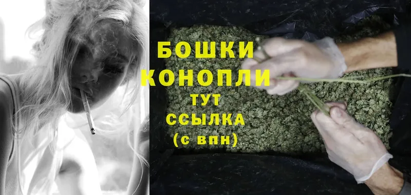 Бошки марихуана THC 21%  купить закладку  Шилка 